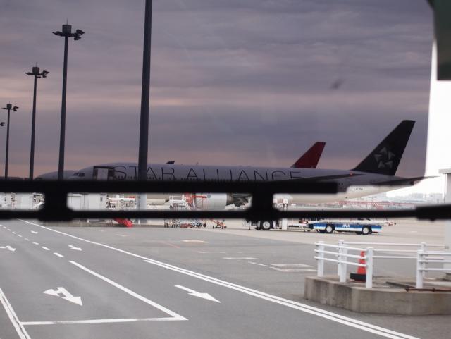 aP3190128.jpg