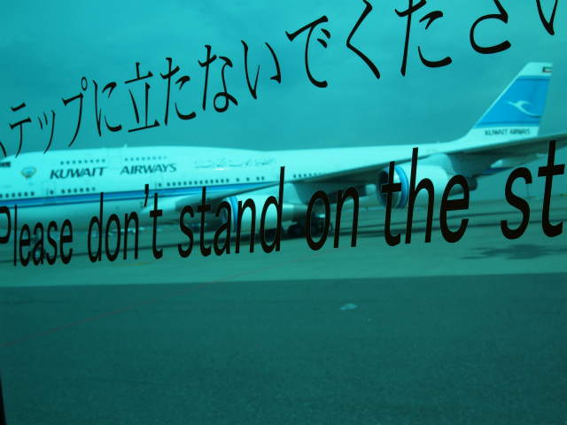 aP3220019.jpg