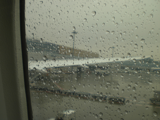 aa01CIMG9488.jpg
