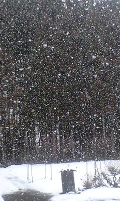 雪1