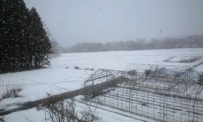 雪2