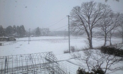 雪3