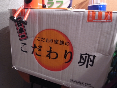 R0041108.jpg