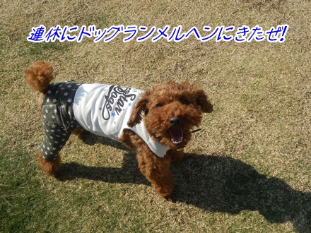 017_20111010230523.jpg