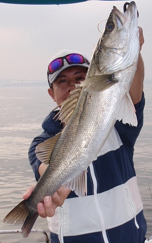 PB040055a.jpg