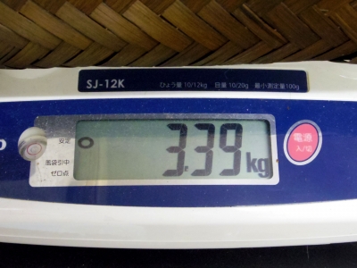 IMGP9309.jpg