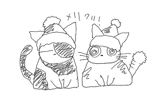 13122511.jpg