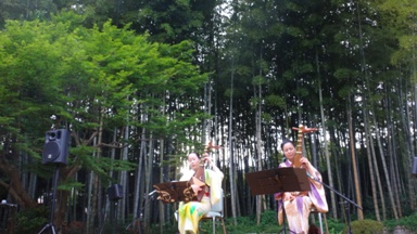 竹林の前での演奏