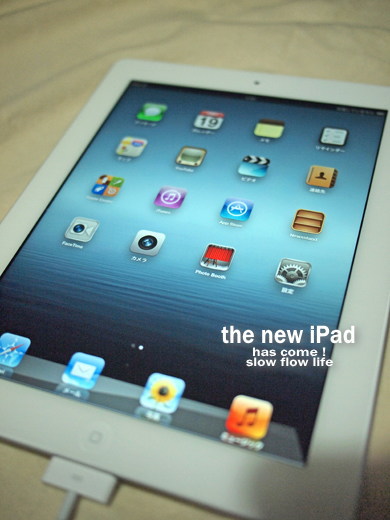 1203newipad22