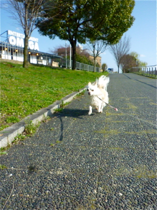 120407-01.jpg