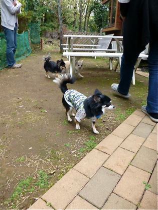 120503-01.jpg