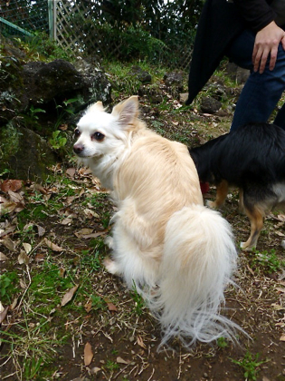 120503-03.jpg