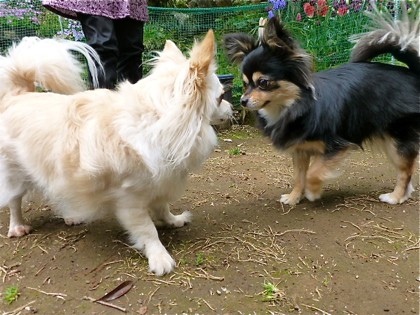 120503-04.jpg