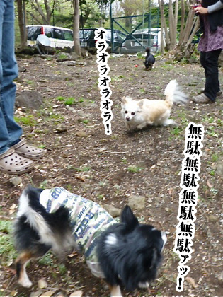 120503-06.jpg