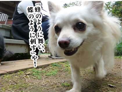 120503-07.jpg