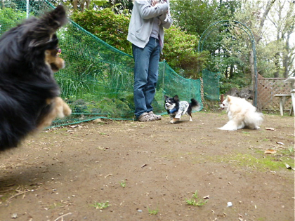 120503-09.jpg