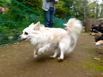 120503-12.jpg
