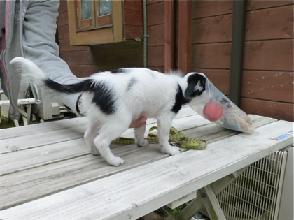 120503-13.jpg