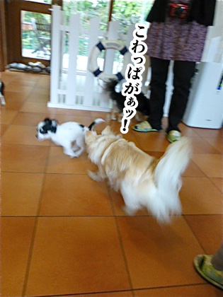 120504-03.jpg