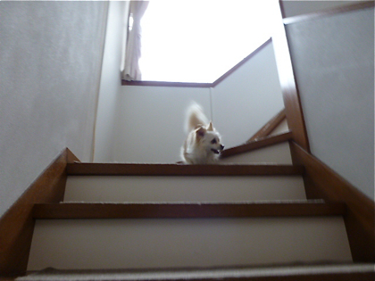 120504-06.jpg