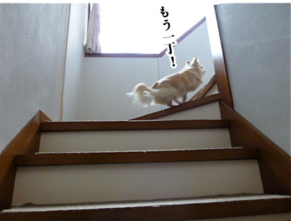 120504-07.jpg