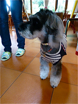 120504-08.jpg