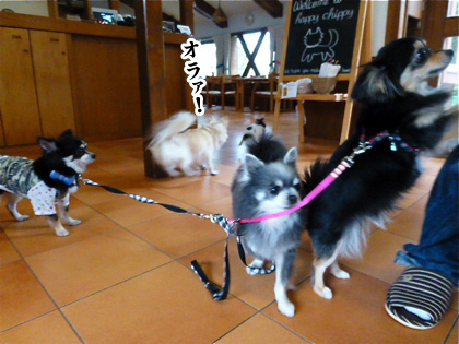 120504-11.jpg