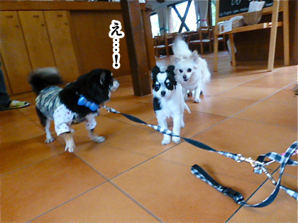 120504-14.jpg