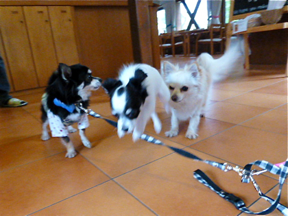 120504-15.jpg