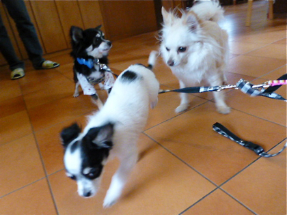 120504-16.jpg