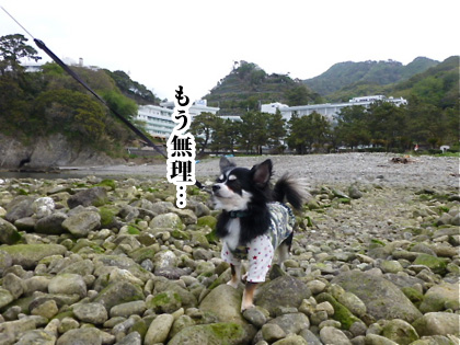 120505-06.jpg