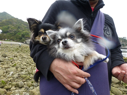 120505-07.jpg