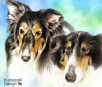 ペット肖像画 ペットの絵 ペット画 似顔絵 イラスト 犬 いぬ 小犬 子犬 色えんぴつ画 色鉛筆画