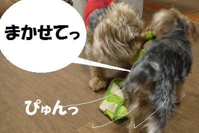dog94_20130719011609.jpg