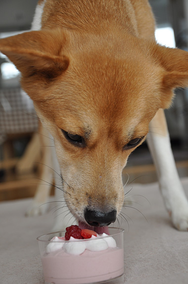 DSC_2327.jpg