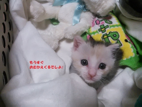 NCM_1704②