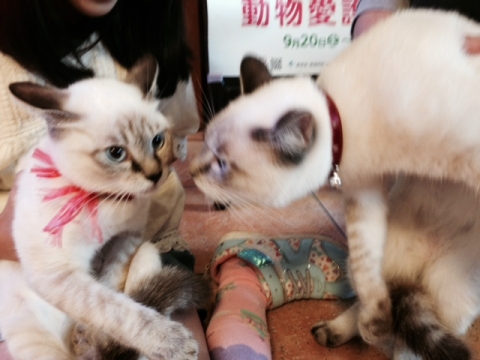写真 3
