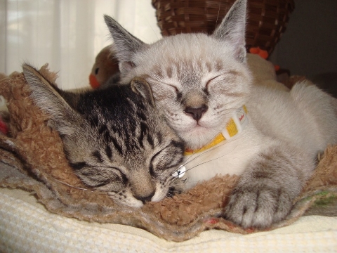 DSC09266.jpg