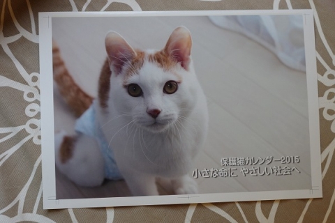 IMGP8540.jpg