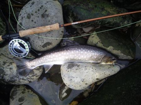 120416_101814.jpg