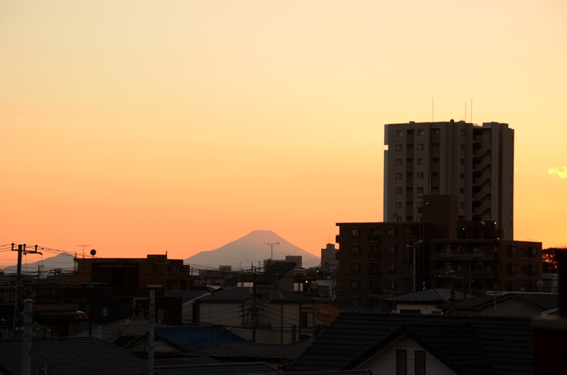 yuhinohujiDSC_7182.jpg