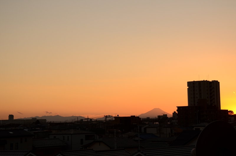 yuuhinohujiDSC_7161.jpg