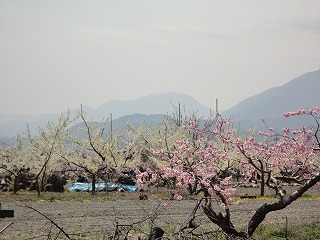 s-DSC01202.jpg