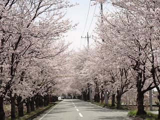 s-DSC01206_20120414131547.jpg
