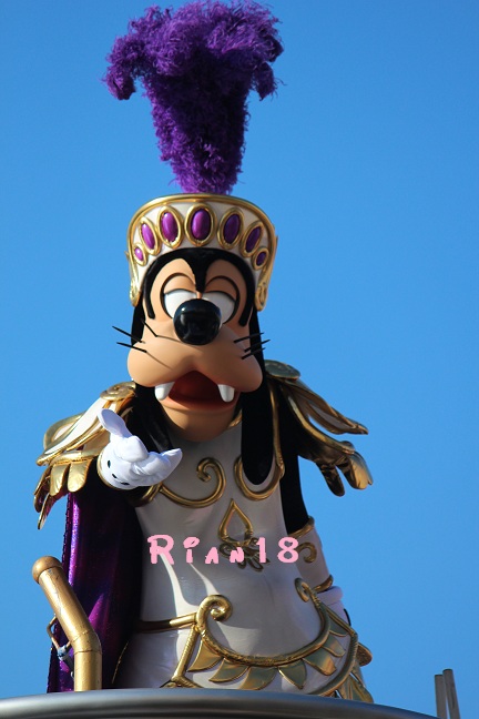 IMG_9356.jpg