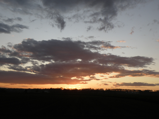 a2_20111006044203.jpg