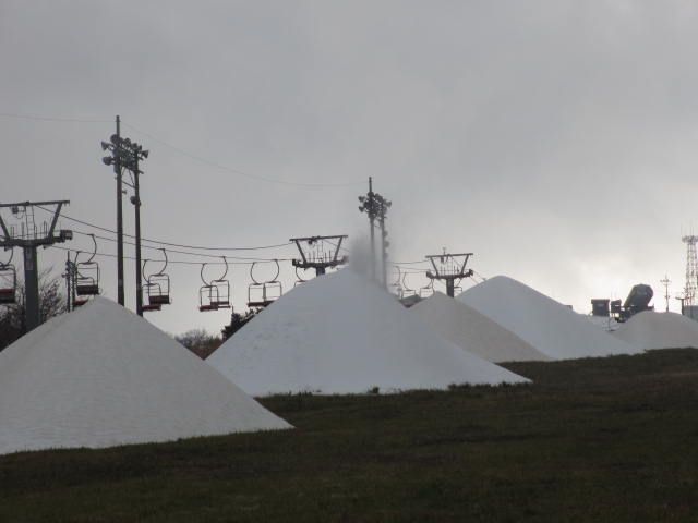 2013120101.jpg