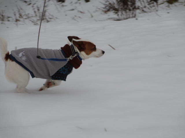 2013120103.jpg