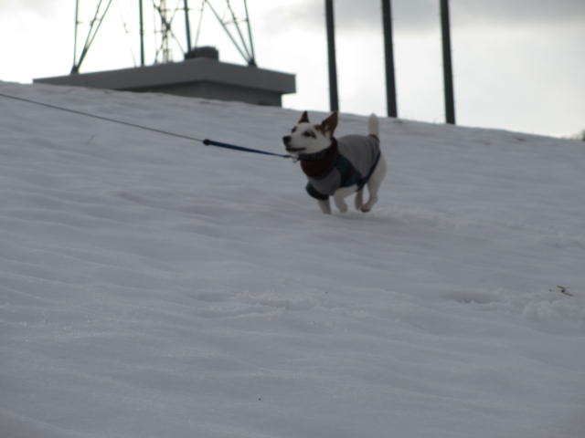 2013120104.jpg