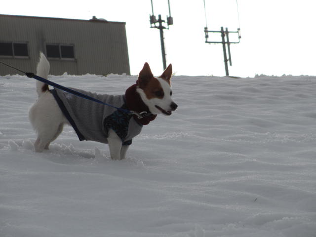 2013120105.jpg